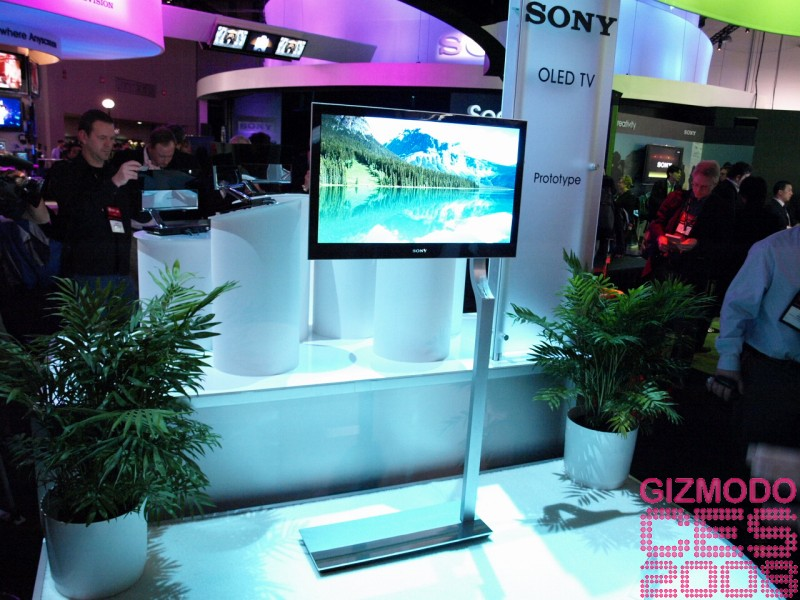 Illustration for article titled Sony 27-inch OLED Prototype Gallery